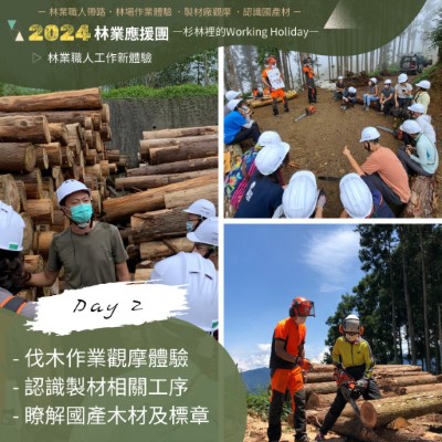 「杉林裡的Working Holiday」活動讓你瞭解國產木材從產地到生活周邊的過程(林業保育署新竹分署提供)